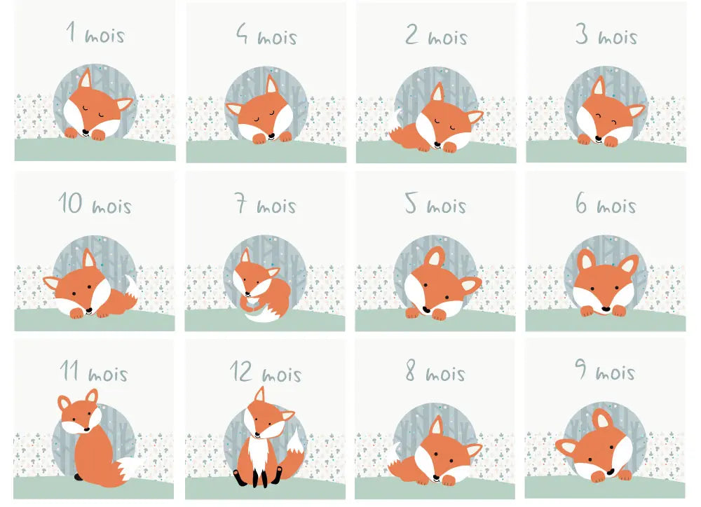 12 cartes étapes bébé avec ruban, thème renard bleu et orange