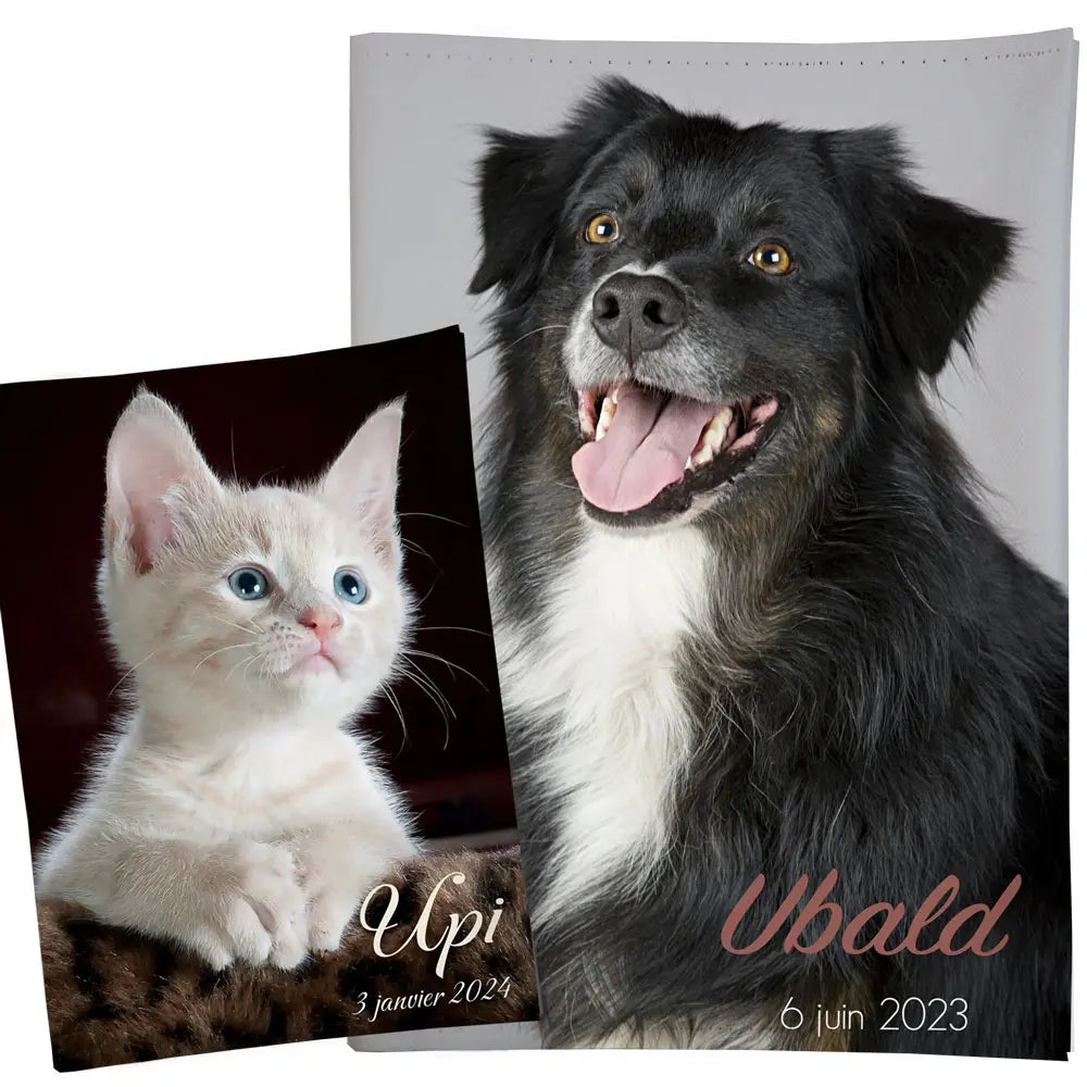 Photo chien ou chat sur protège carnet de santé top qualité