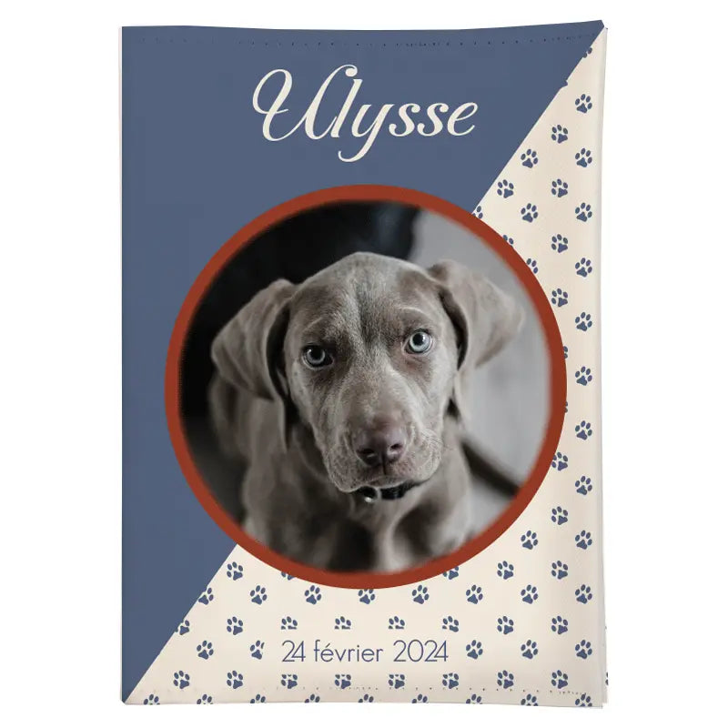 protege carnet sante chien motif pattes