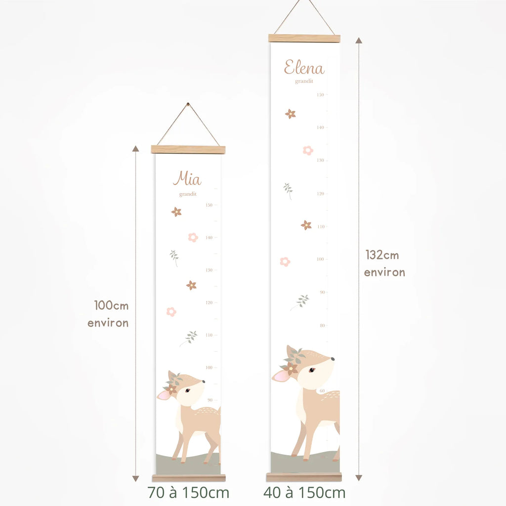 Une toise biche proposée en deux dimensions
