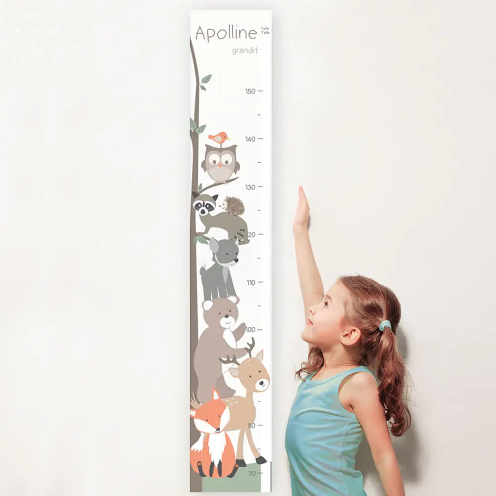 Toise animaux des bois