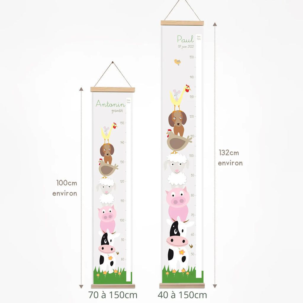 Toise ferme colorée proposée en 2 formats