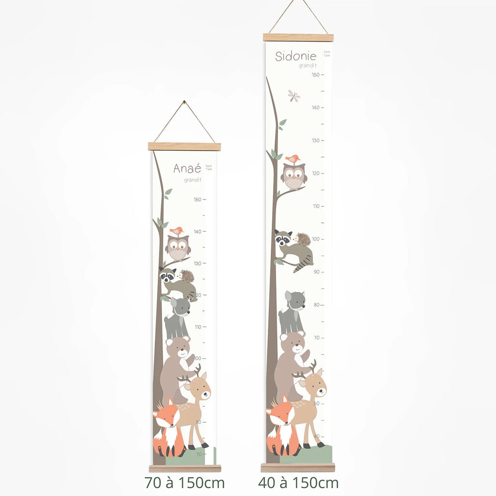 Toise animaux de la forêt disponible en 2 formats