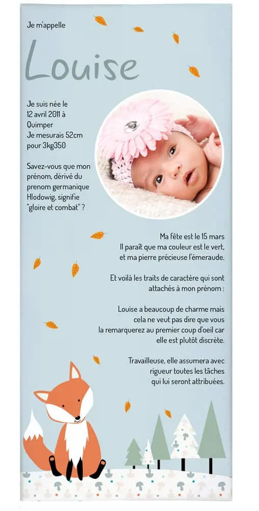 cadre naissance avec photo sur le thème déco du renard