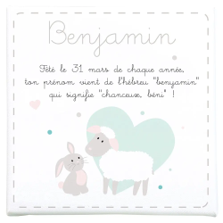 cadre origine prénom et bébés animaux mouton et lapin